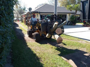 A mini skid steer transporting tree logs during a cleanup job by YardFellas Tree Services in Casselberry, FL.