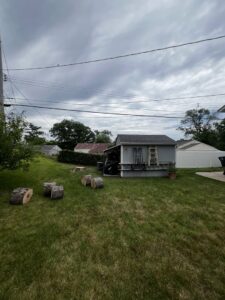 Cut tree logs on the ground after a tree removal service by Clever Tree Service LLC in St. Louis, MO.