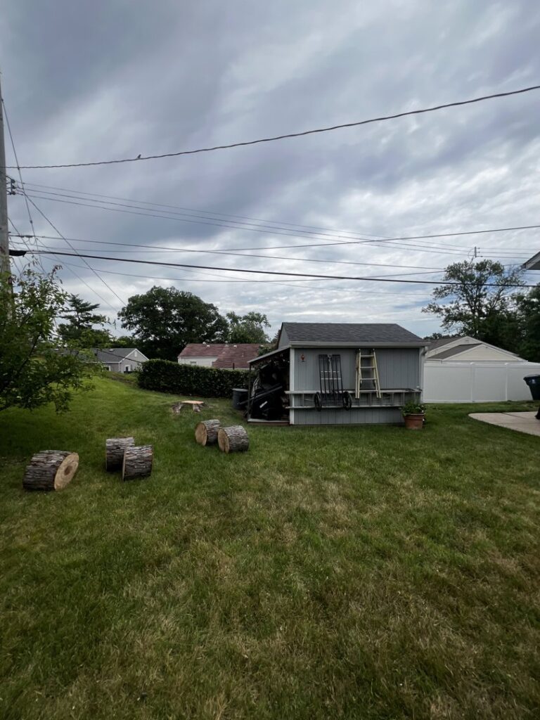 Cut tree logs on the ground after a tree removal service by Clever Tree Service LLC in St. Louis, MO.