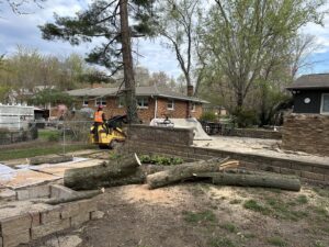 Cut tree logs on the ground with a stump grinder in the background, showing comprehensive tree removal services by Gray's Tree and Crane Service in Evansville, IN.