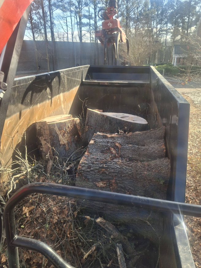 Large tree logs and branches loaded into a truck for removal by Alley's Tree Service in Va Beach, VA.