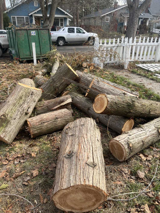 Large tree logs cut and piled on the ground after a tree removal service by Catchpole Tree Service in Spokane, WA