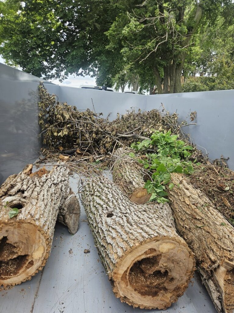 A dump trailer filled with large tree logs and branches, ready for disposal by Alpha Outdoor Services LLC in Kearney, NE.