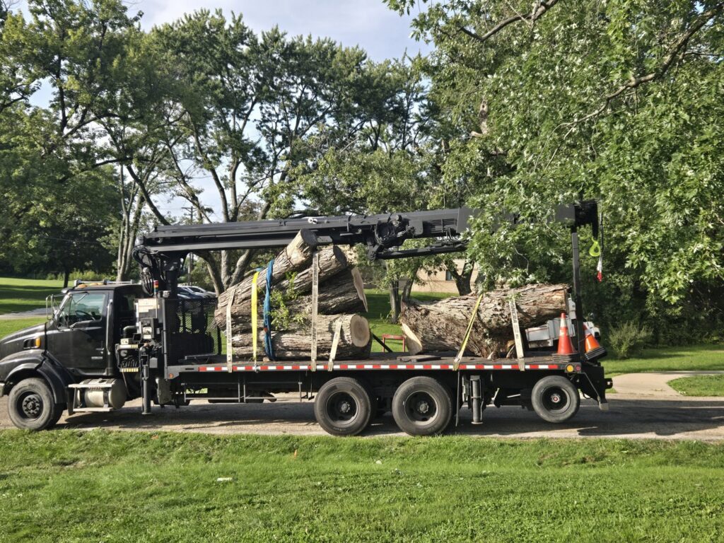 Large tree logs loaded onto a flatbed truck with a crane arm after a tree removal by Aim To Tame tree service in Peoria, IL.