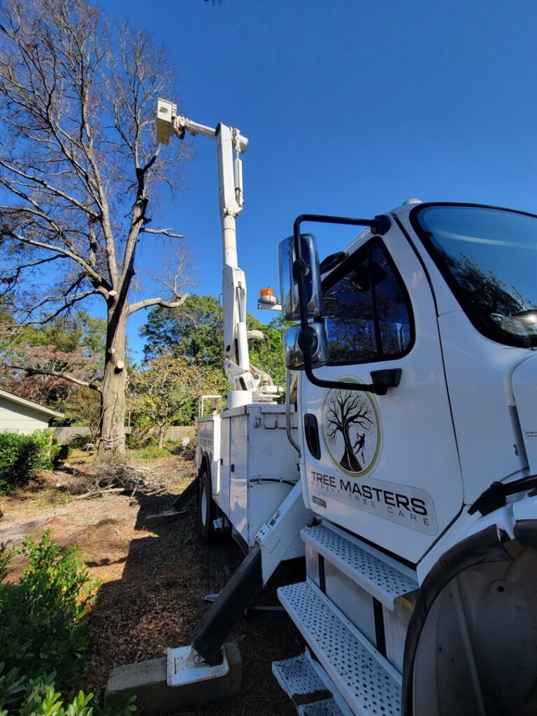 A TREE Masters Expert Tree Care bucket truck with its logo visible, positioned for tree care services in Wilmington, NC.