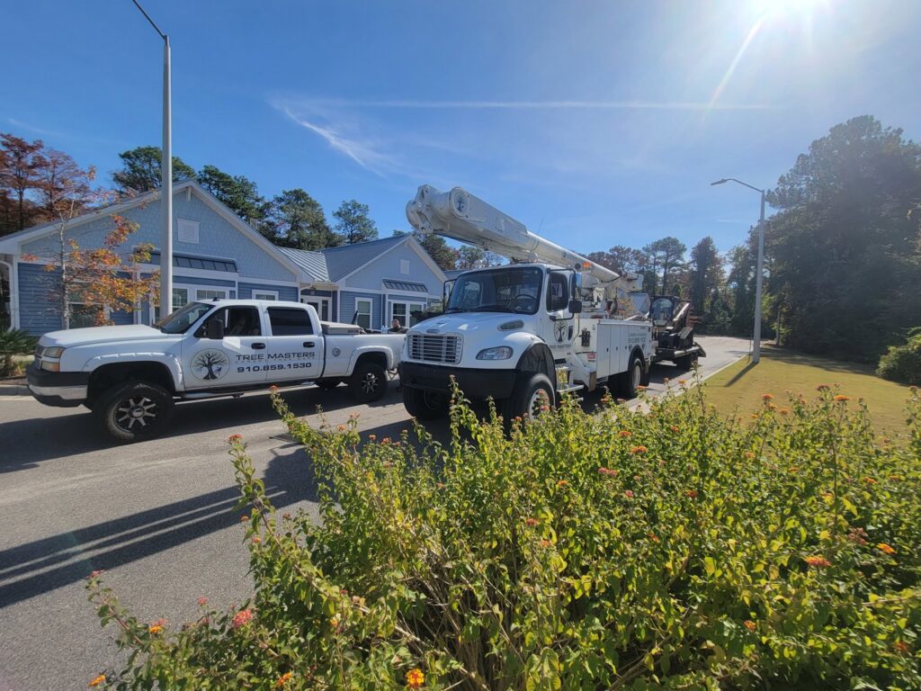 The TREE Masters Expert Tree Care fleet, including a pickup truck with logo and a large bucket truck, ready for service in Wilmington, NC.