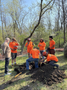 A tree service crew from Mr Spruce Tree Service LLC preparing for tree planting in Ankeny, IA.