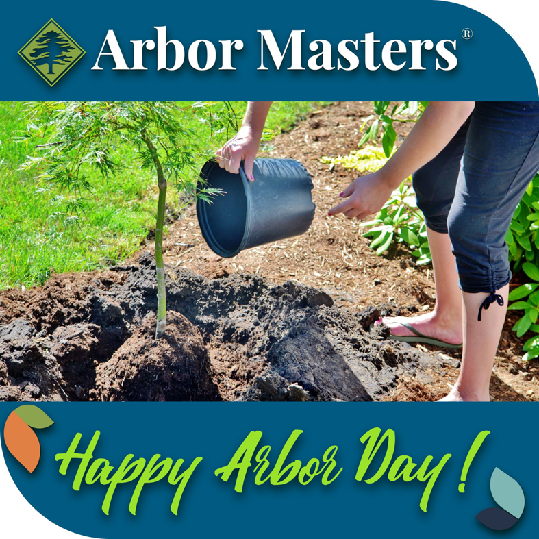 A person planting a new tree as part of tree service by Arbor Masters in Mechanicsville, VA.