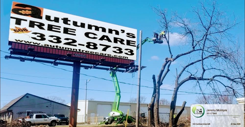 A tree service worker in a bucket lift pruning a large tree for Autumn's Tree Care and Seasonal Services in Janesville, WI