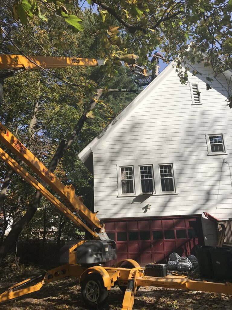 A tree surgeon from Bryan McFadden LLC Tree Surgeon pruning trees with a bucket lift near a residential home in Auburn, ME.