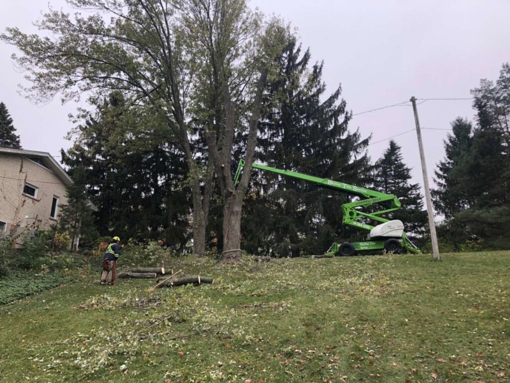 A tree service crew member on the ground during a tree pruning and cleanup job with a green boom lift by Skyline Tree Service and Landscaping Inc. in Saint Charles, IL.