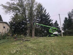 A tree service crew member on the ground during a tree pruning and cleanup job with a green boom lift by Skyline Tree Service and Landscaping Inc. in Saint Charles, IL.