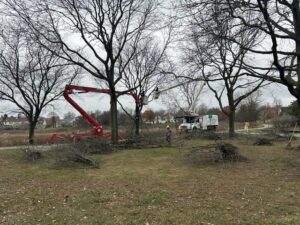 Wildwood Tree Service crew and equipment performing tree pruning and removal, with cut branches on the ground in Elgin, IL.