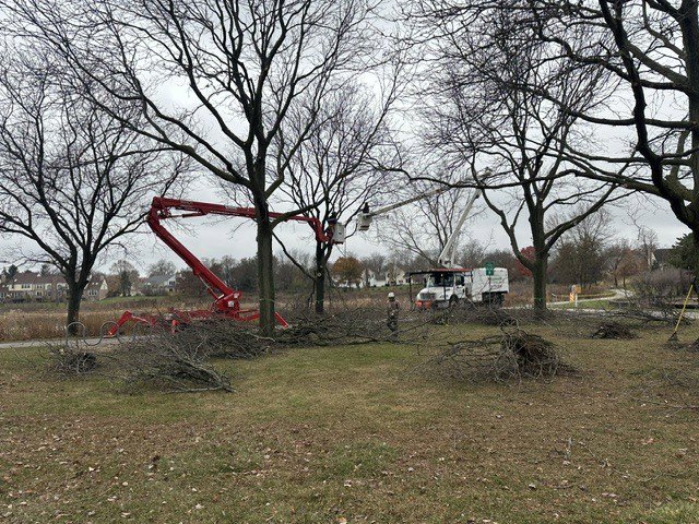Wildwood Tree Service crew and equipment performing tree pruning and removal, with cut branches on the ground in Elgin, IL.