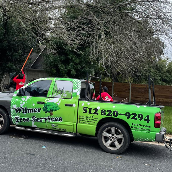 A Wilmer Tree Service truck parked on a street while workers prune tree branches in Austin, TX