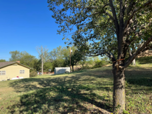 A tree showing signs of recent pruning or trimming work by Get Er Done Tree Service in Salina, KS.