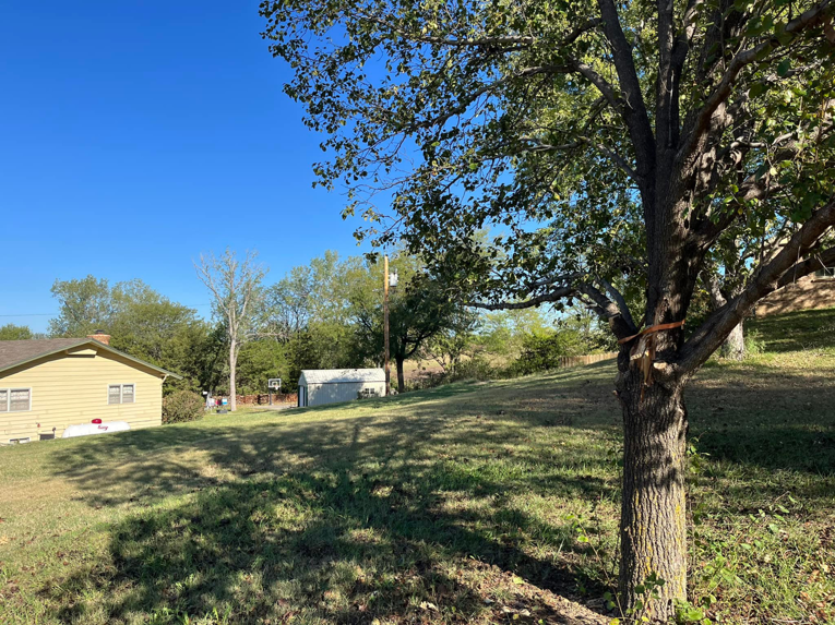 A tree showing signs of recent pruning or trimming work by Get Er Done Tree Service in Salina, KS.