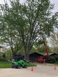 Tree pruning services being performed with a spider lift and an Avant loader by SKV Tree Service in Morris, IL.