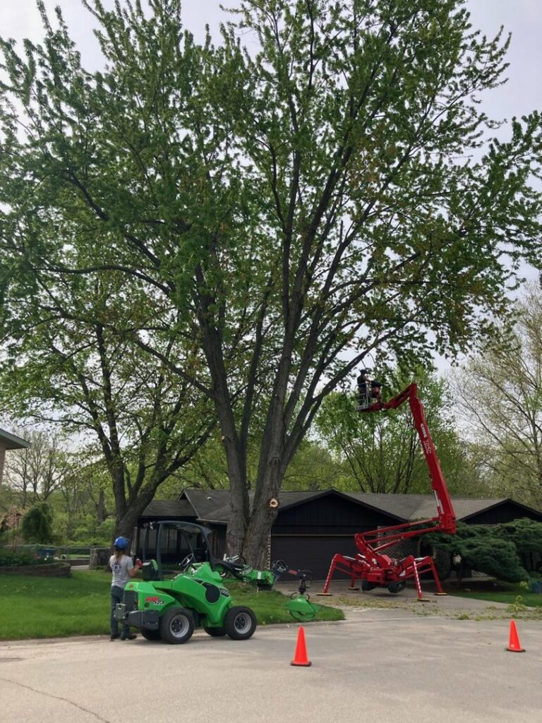 Tree pruning services being performed with a spider lift and an Avant loader by SKV Tree Service in Morris, IL.
