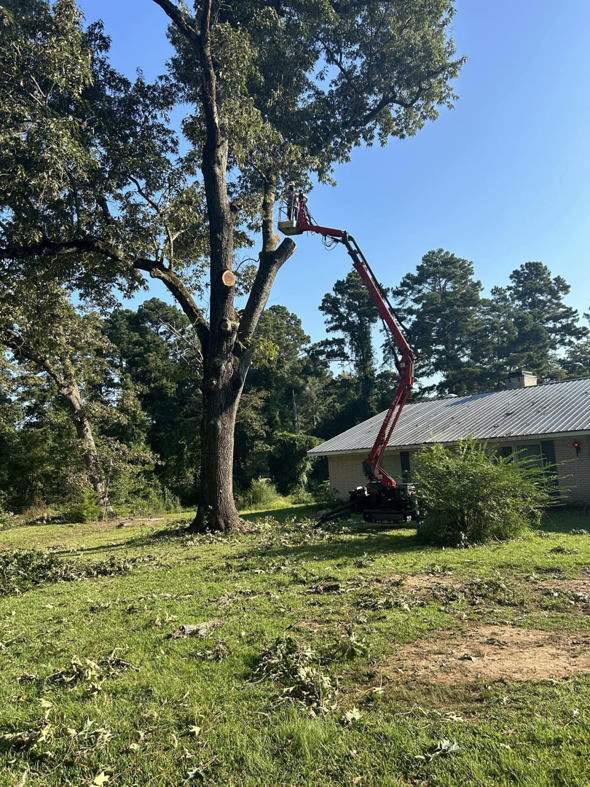 A worker in a bucket lift performing tree pruning and removal services for Arbor Management Services in Shreveport, LA.