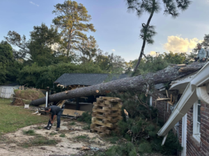 Tree service workers using a chainsaw to remove a large fallen tree from a damaged house after a storm by GNC Tree Service, LLC in Columbia, SC.
