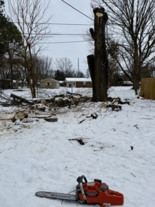 A backyard covered in snow with a large tree stump and cut logs, showing tree removal work by Johnston's Tree Service in Owensboro, KY.
