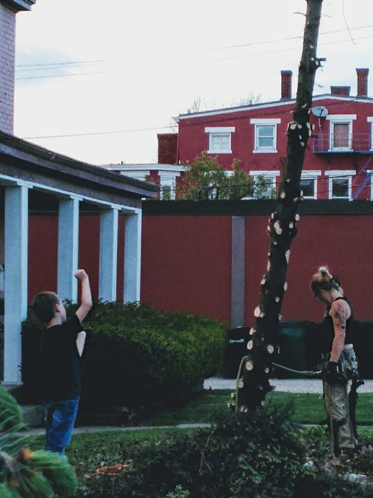A tree service professional standing next to a recently removed tree trunk for Wooded Ways Tree Removal in Cincinnati, OH.