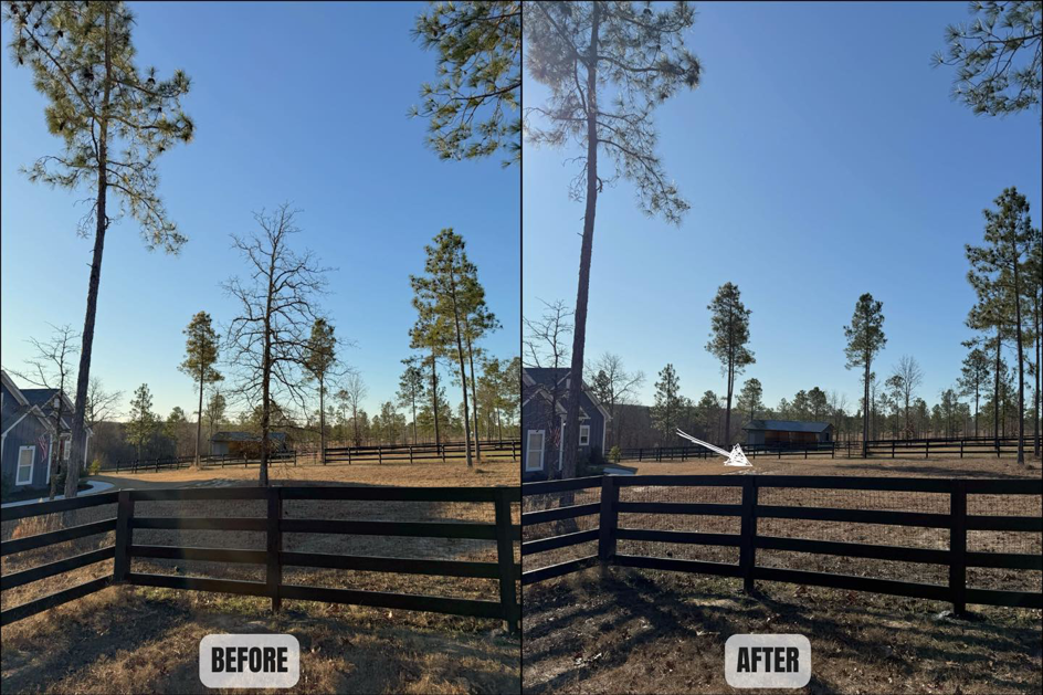Before and after view of a dead tree removed from a property by BW Tree Removal in Aiken, SC.