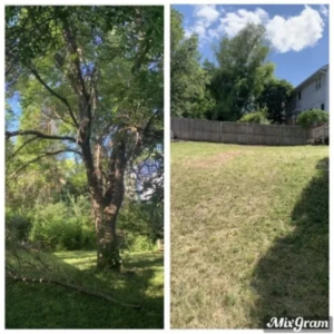 Before and after view of a large tree removal service by Griffis Tree and Lawn in Council Bluffs, IA, showing the cleared area.