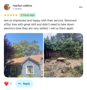 Before and after photos of a tree removal service completed by Jorge's tree service in Eugene, OR