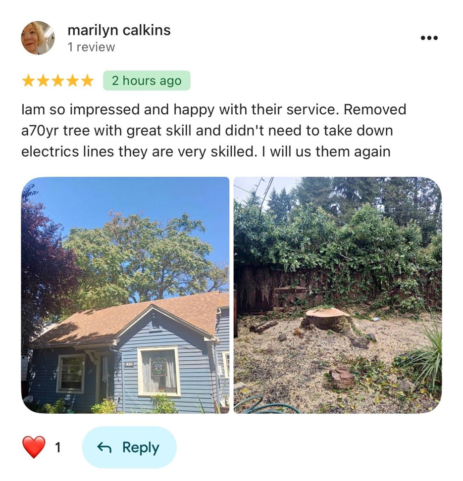 Before and after photos of a tree removal service completed by Jorge's tree service in Eugene, OR