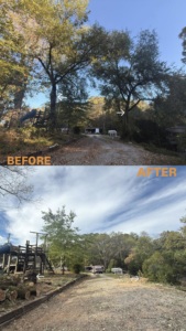 Before and after view of successful tree removal service by Lawncare lopez Tree services in Chattanooga, TN