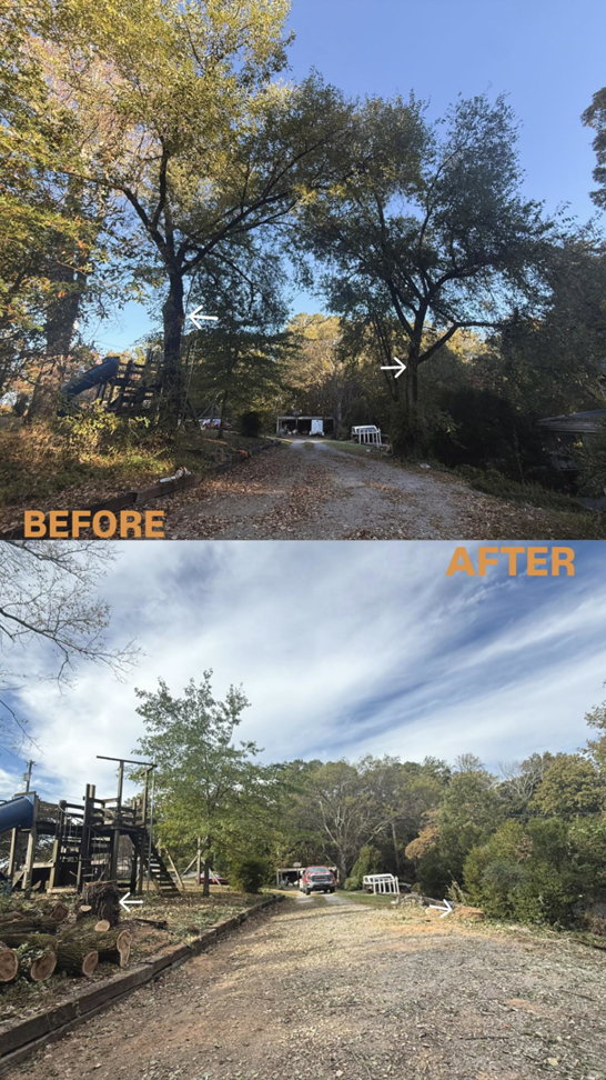 Before and after view of successful tree removal service by Lawncare lopez Tree services in Chattanooga, TN
