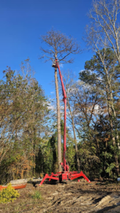 A worker in a red boom lift performing tree removal on a tall tree for East Alabama Tree Service in Auburn, AL