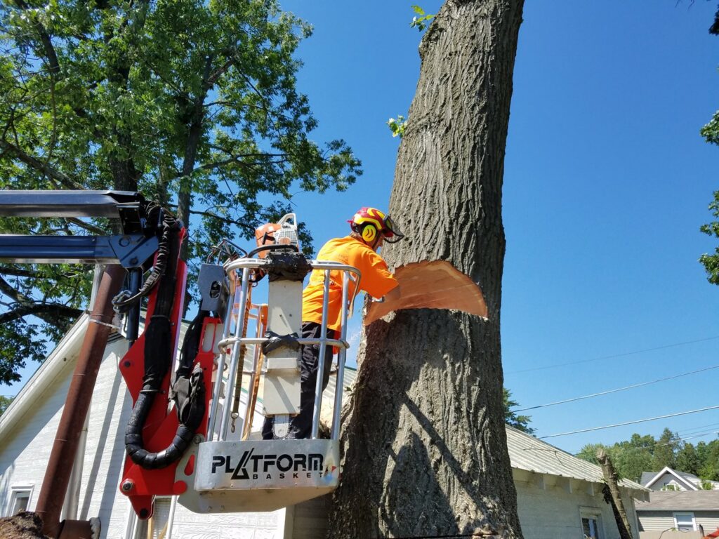 A tree service professional operating a chainsaw from a bucket lift during a tree removal job by Morgan Brothers Tree Care Solutions in Birdsboro, PA