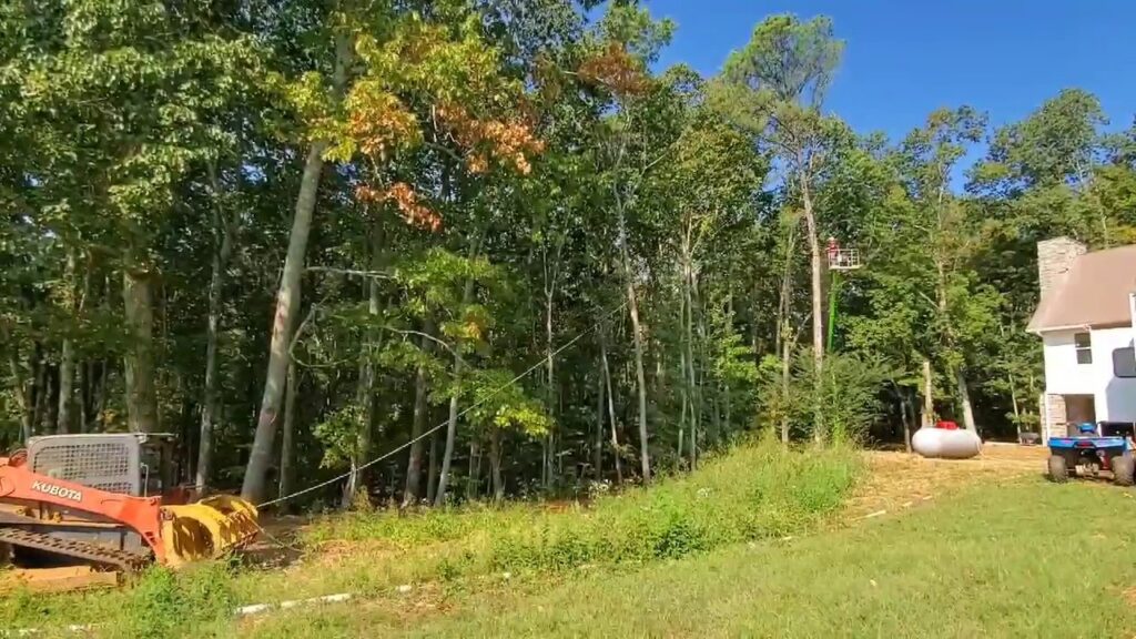 Tree removal in progress with a worker in a bucket lift and a skid steer, provided by Trinity Tree Service in Cumming, GA.