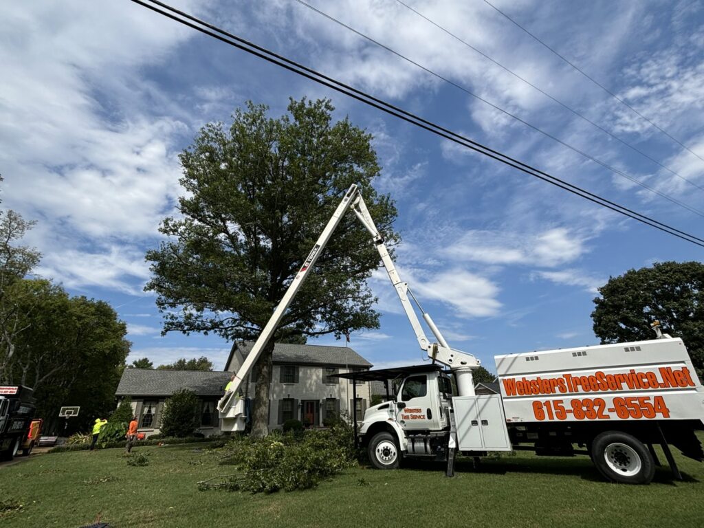 A tree service bucket truck and crew working on tree removal, with cut branches on the ground, by Webster's Tree Service Nashville TN in Antioch, TN.