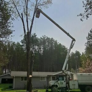 A bucket truck positioned next to a partially removed tree during a tree service job by Klee Logging & Tree Service Inc. in Green Bay, WI.