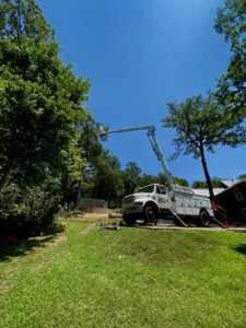 A bucket truck removing a tree with cut logs on the ground by ED's Landscaping in Mechanicsville, VA.