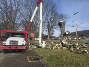 A tree removal job with a bucket truck and cut logs on the ground by Green works tree service in Columbus, OH.