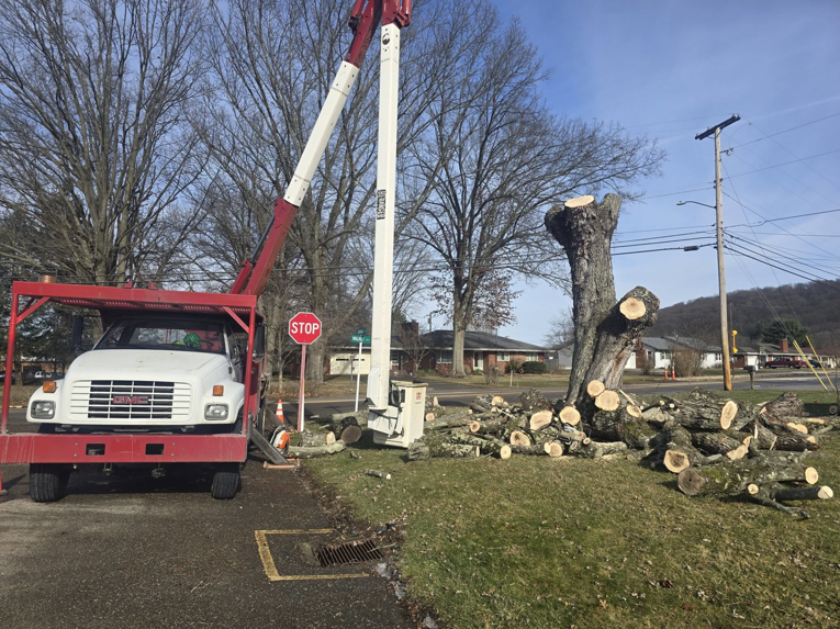 A tree removal job with a bucket truck and cut logs on the ground by Green works tree service in Columbus, OH.