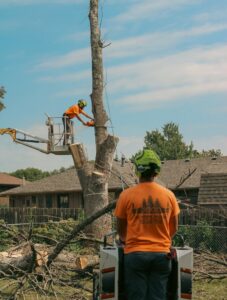 Tree service professionals using a chainsaw from a bucket lift for tree removal by JOCO Services LLC in Council Bluffs, IA.