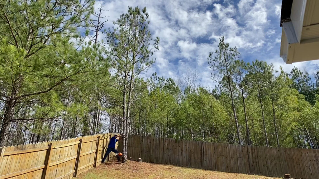 A tree service professional using a chainsaw to remove a tree trunk near a wooden fence, provided by Log and Leaf Tree Service in Hoover, AL.
