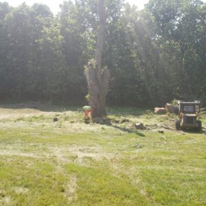 A tree service worker using a chainsaw to cut a large tree trunk during a removal project by Making the Cut Tree Service in Muskego, WI.