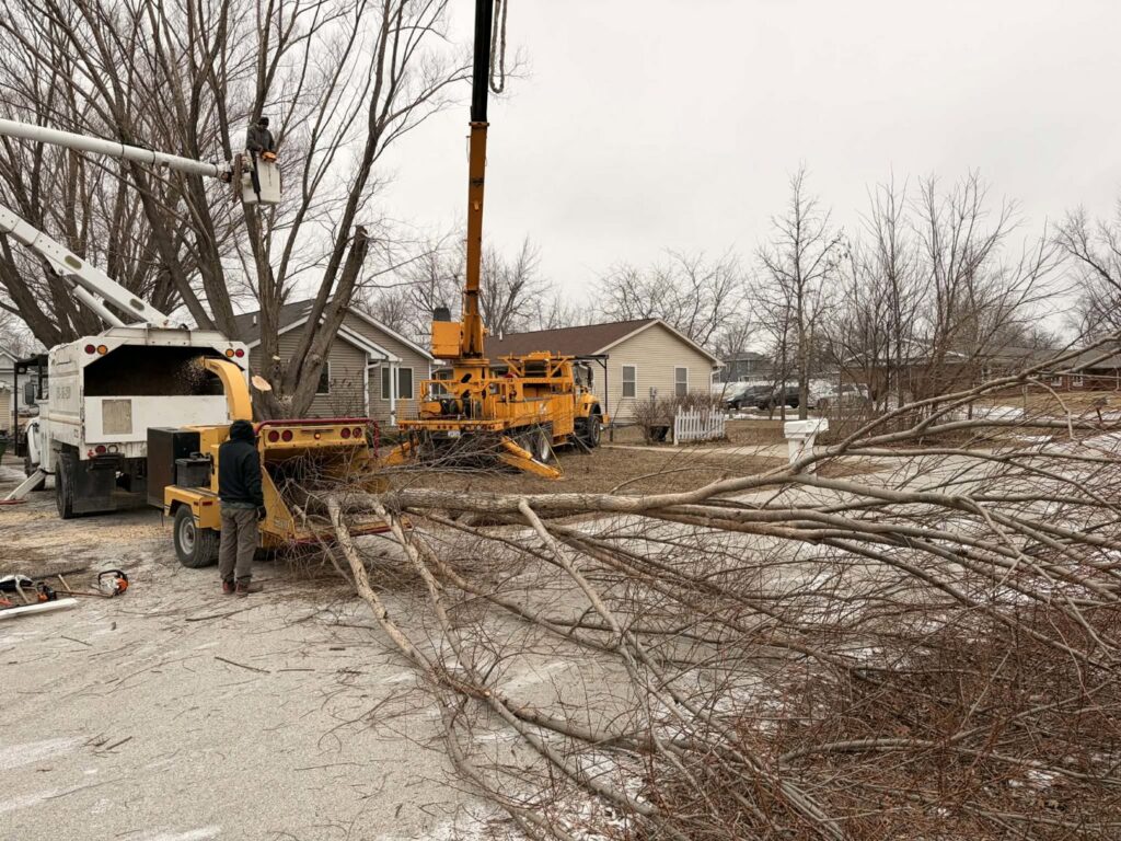 A tree service crew uses a bucket truck, crane, and wood chipper for tree removal and branch processing by Southern Accent Tree Service in West Des Moines, IA.