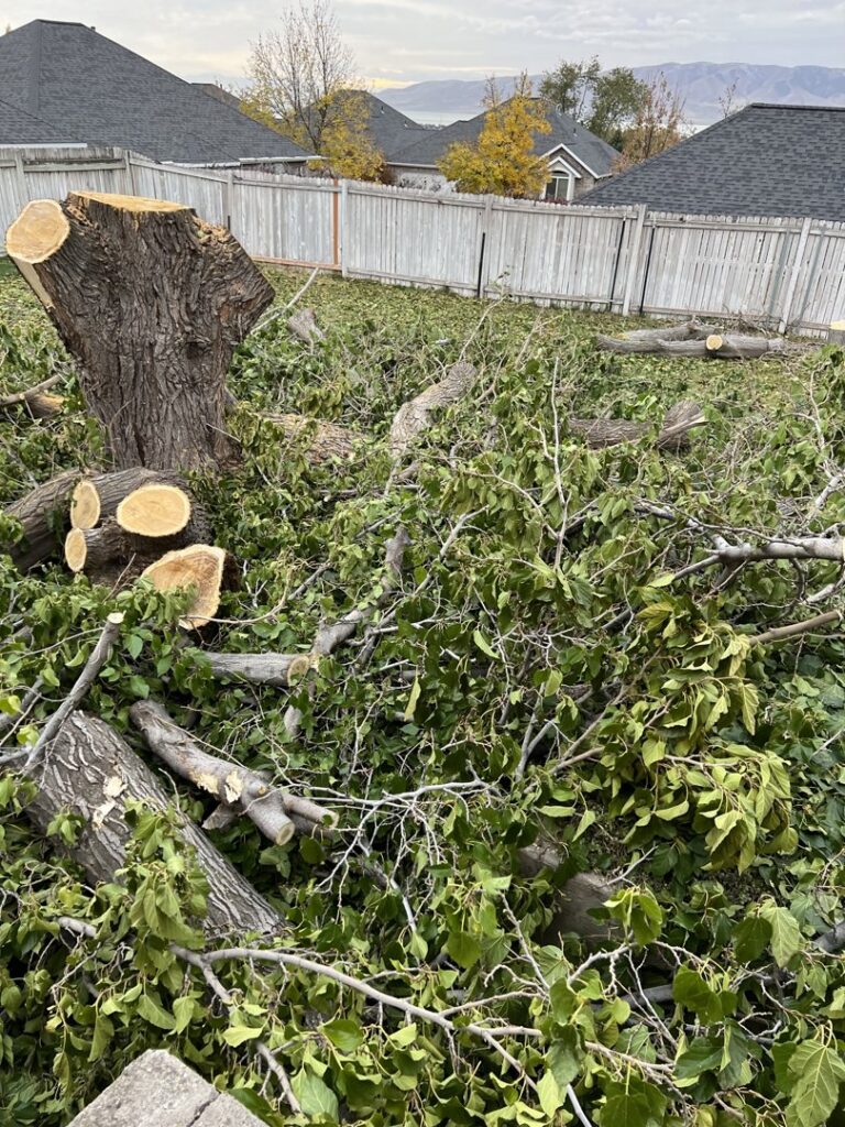 A backyard showing tree removal cleanup with cut branches and a stump by Golden Tree Service in Provo, UT.
