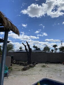 A backyard after tree removal, showing a stump and cut logs, by Tempe Tree Service Pros in Tempe, AZ