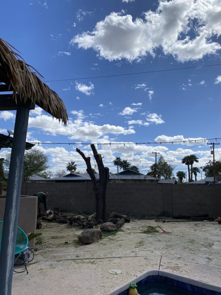 A backyard after tree removal, showing a stump and cut logs, by Tempe Tree Service Pros in Tempe, AZ