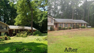 Before and after images showing a complete tree removal and site cleanup by Peoria Tree Experts in Peoria, IL.