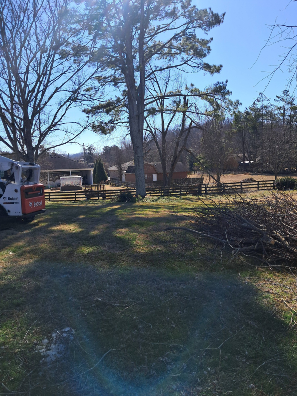 A yard with a pile of cut tree branches and a Bobcat loader for cleanup by Tim's Tree Service & Landscaping in Milan, TN.